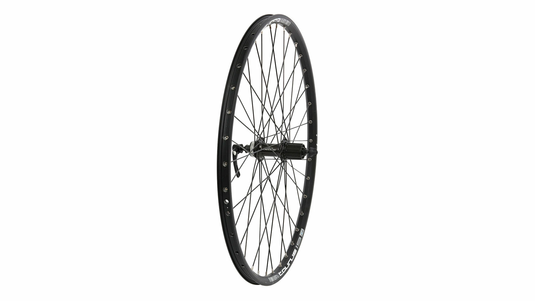 Diverse Hinterrad 26 Zoll Mit 36 L Ryde Taurus Disc 3 Diverse Hinterrad 26 Zoll Mit 36 L Ryde Taurus Disc