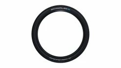 Schwalbe Racing Ray Evo SGR 29