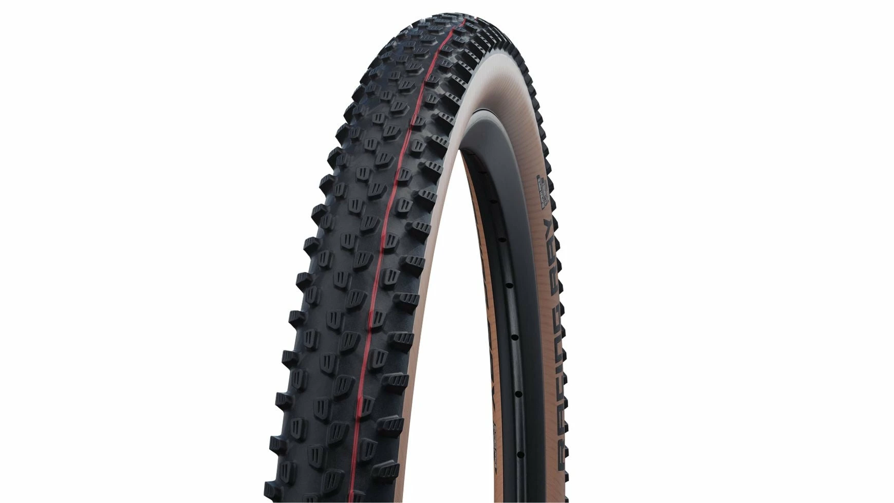 Schwalbe Racing Ray Evo SR 29 3 Schwalbe Racing Ray Evo SR 29