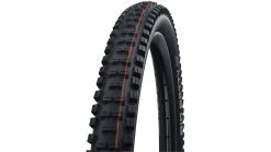 Schwalbe Big Betty Evo SG 29